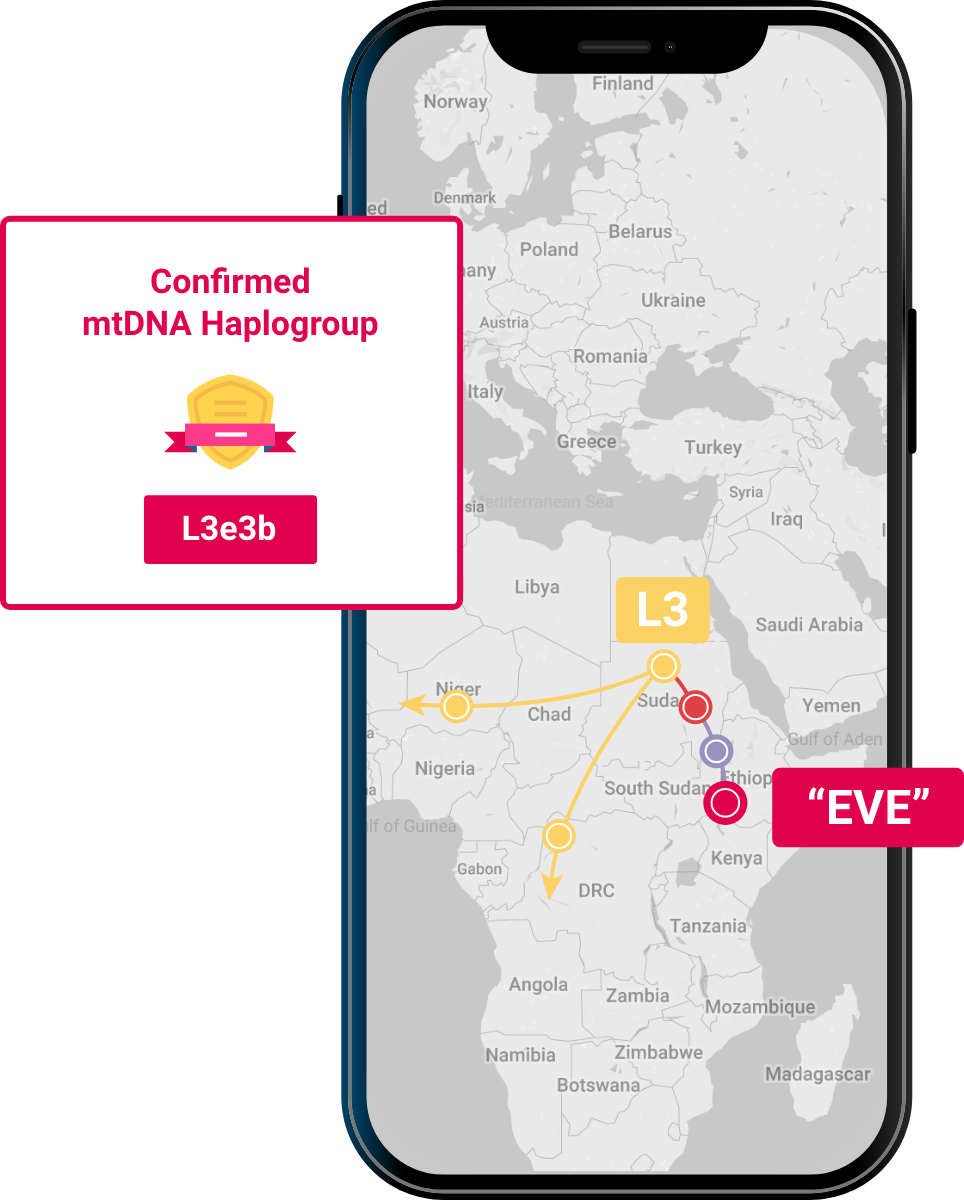 mtdna haplogroup l3e3b confirmed with migration map displayed on phone