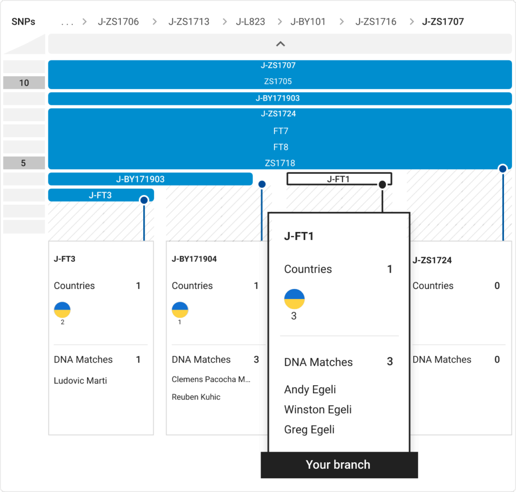 Screenshot of Big Y-700 Block Tree showing haplogroup branches, corresponding DNA matches, and SNP
