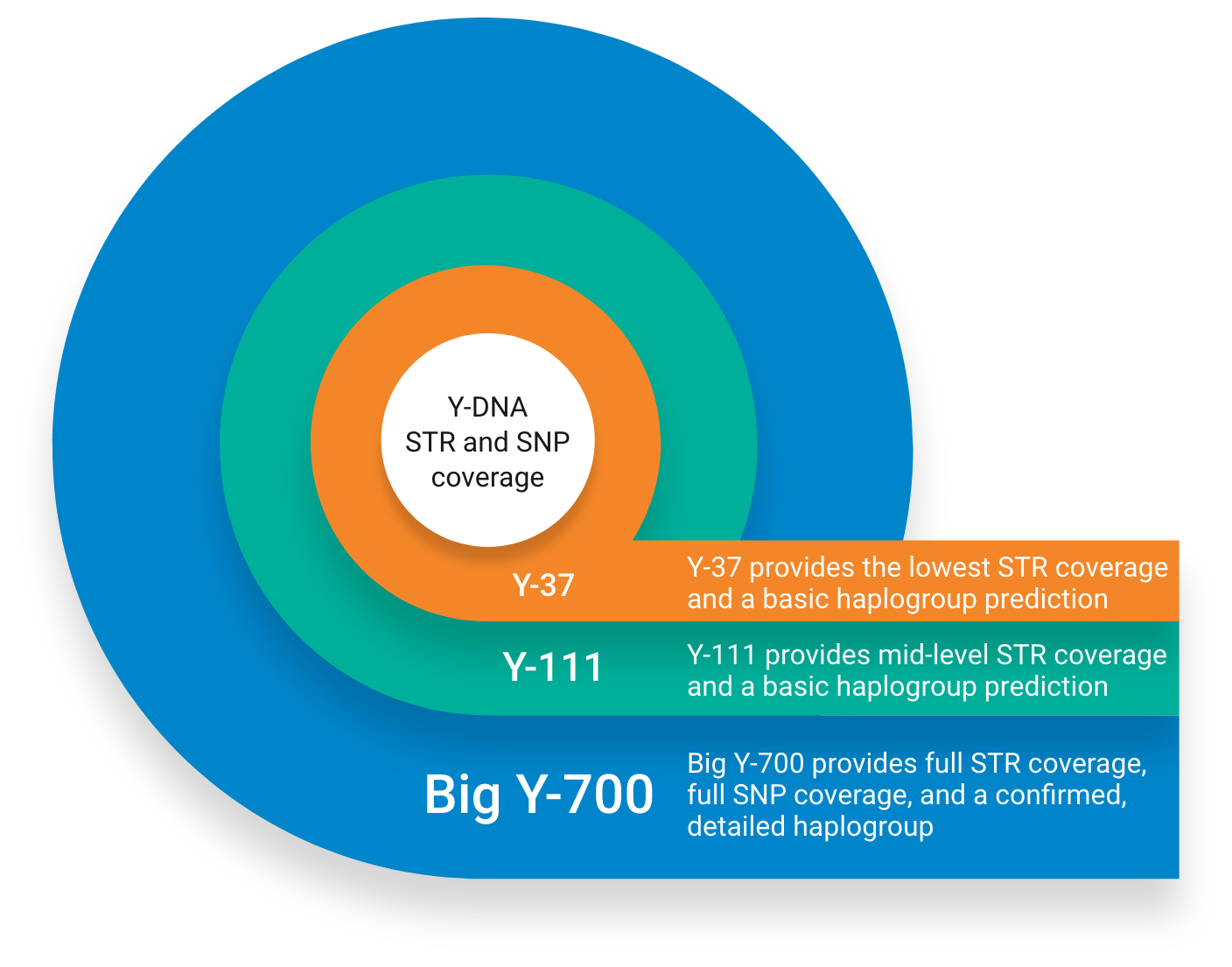 Infographic comparing the different levels of STR and SNP coverage between Y-37, Y-111 and Big Y-700