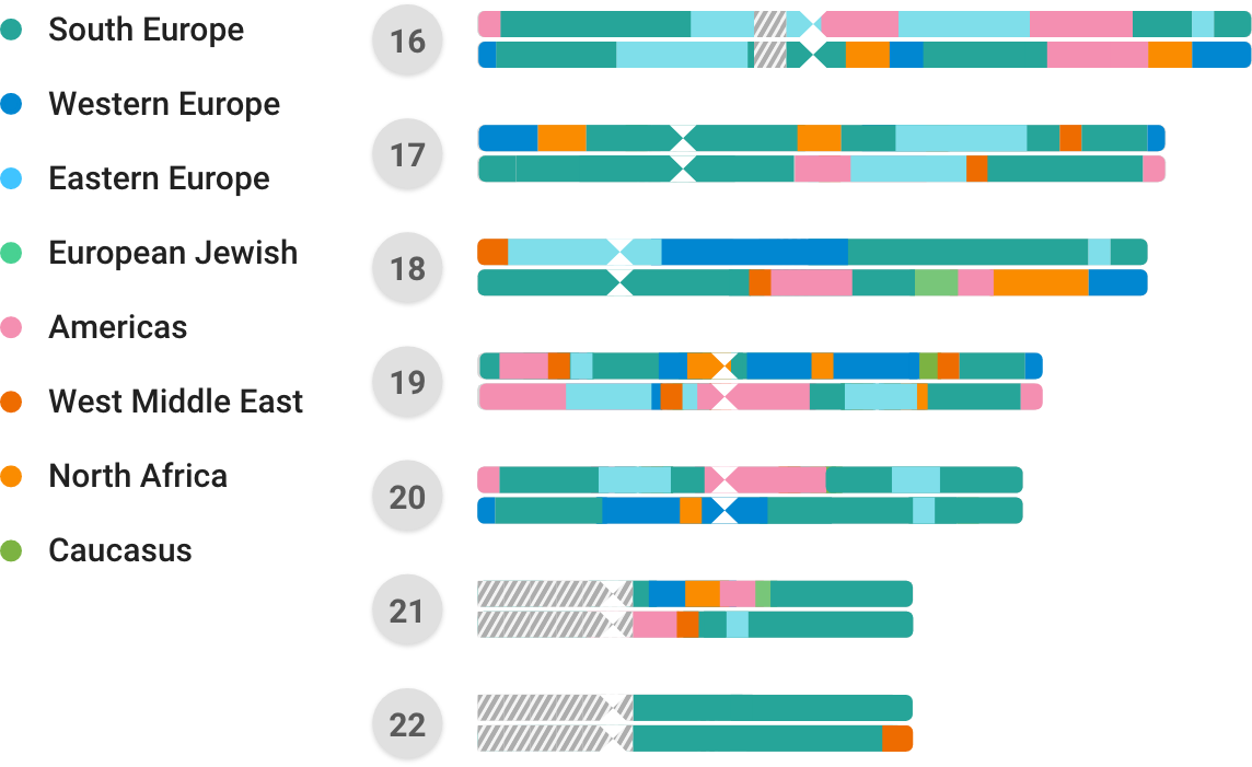 Family Finder chromosome painter showing colored DNA segments linked to ancestral populations