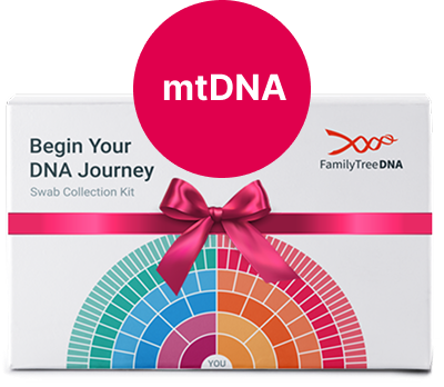 mtDNA box with ribbon