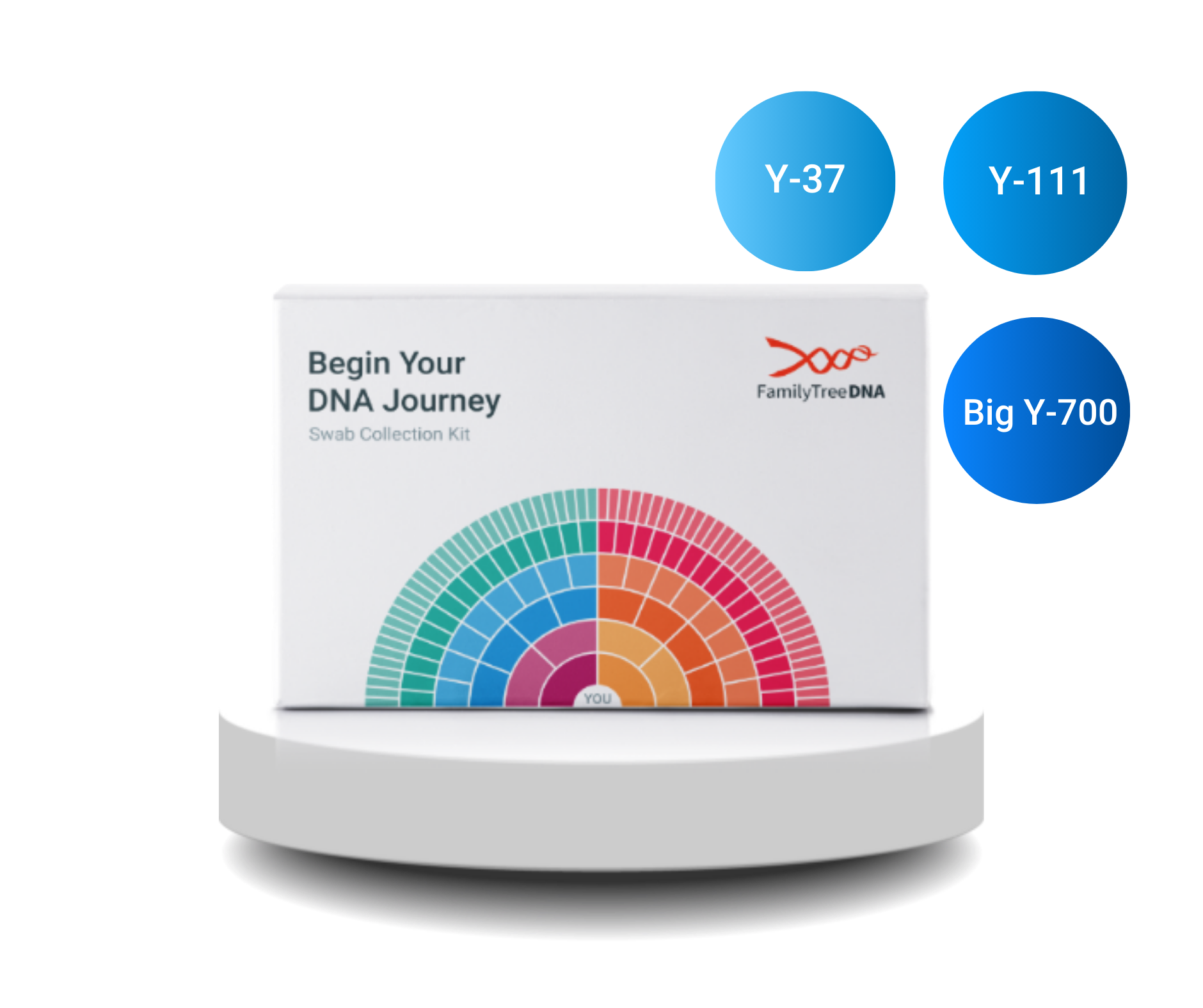 Y-DNA test kit with Y-37, Y-111, and Big Y-700 call-outs