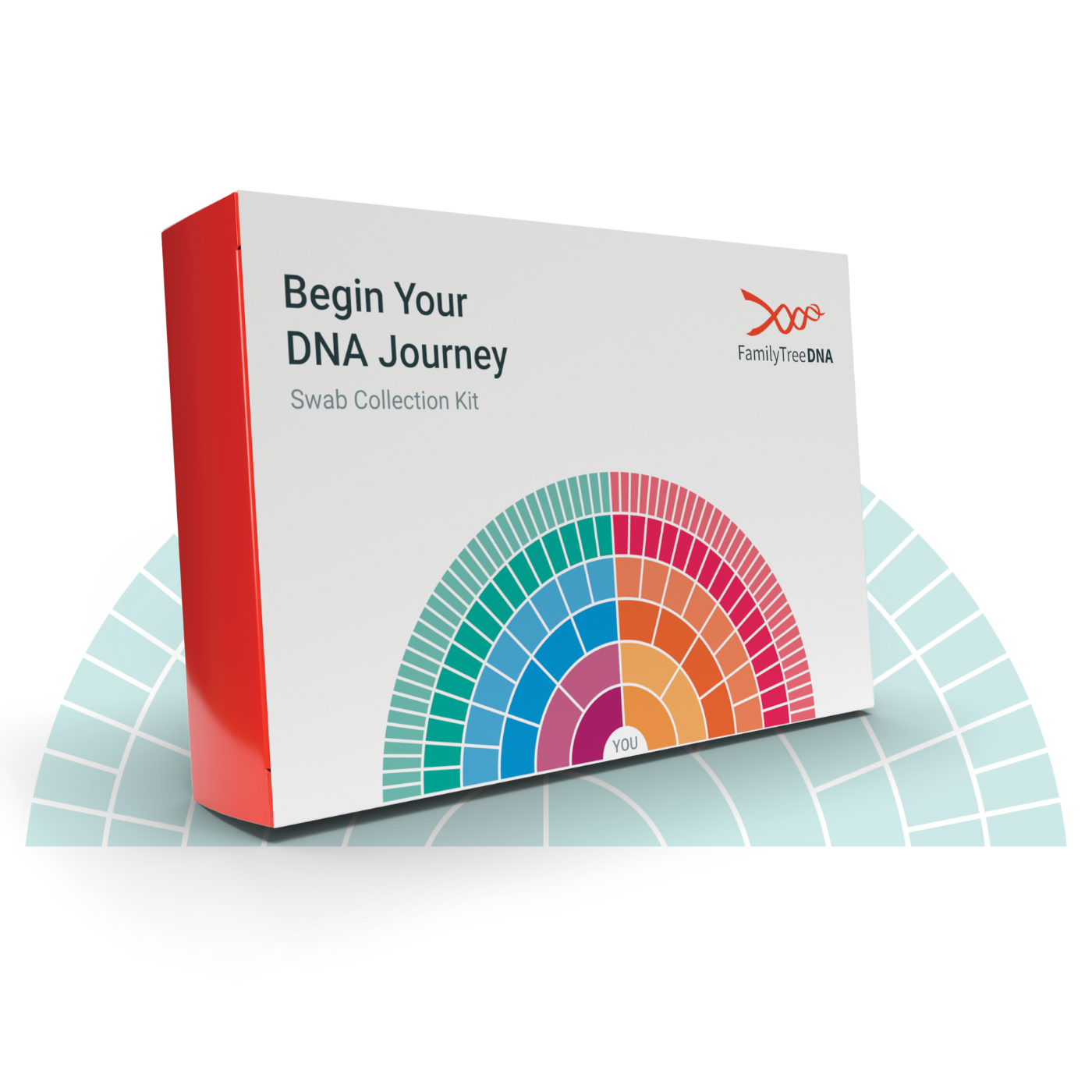 Begin Your Family Ancestry Journey