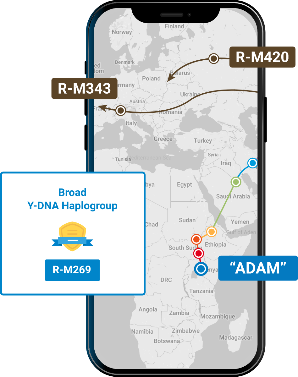Mobile phone displaying map of Y-DNA haplogroups across Europe and Africa