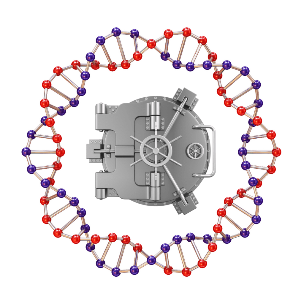 DNA helix surrounding a secure vault symbolizing FamilyTreeDNA’s commitment to privacy and data protection