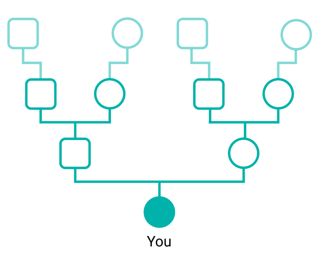 Pedigree chart with every ancestral line highlighted in teal across five generations, showing how Family Finder connects you to relatives on both your maternal and paternal branches.