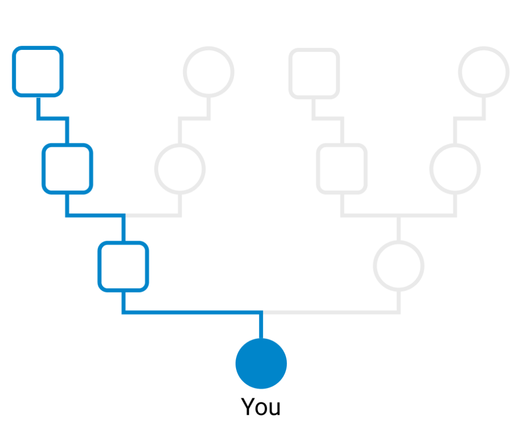 Pedigree chart with only the direct father-to-father line highlighted in blue, showing how Y-DNA traces your paternal lineage back through the generations.