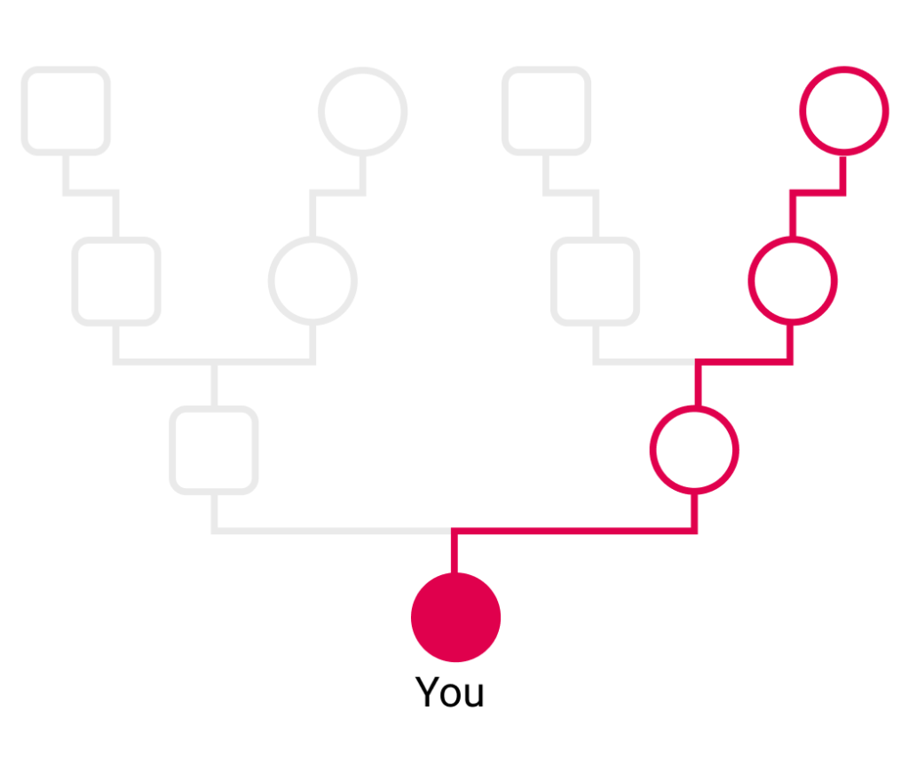 Pedigree chart with only the direct mother-to-mother line highlighted in pink, showin